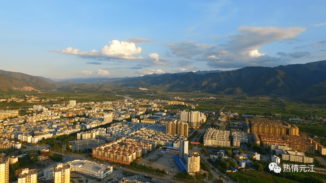 元江城区一单位大院长野生菌_食用_元江县_绿化