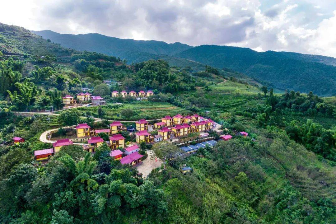 临沧临翔:发放公益林天然林补偿金550余万元_临翔区_补助_资金