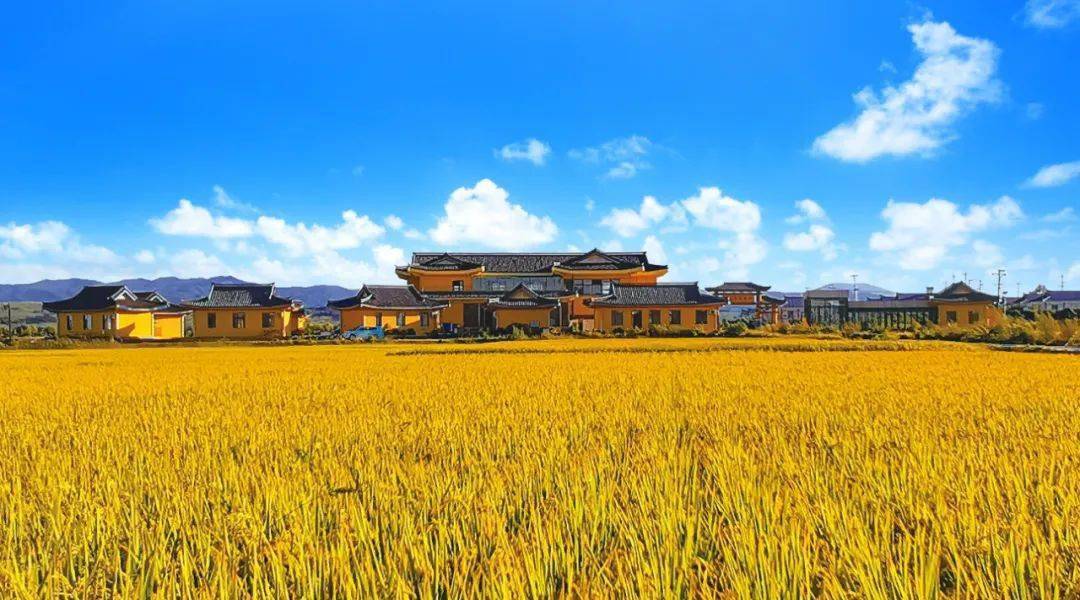 延安村延安村位于和龙市头道镇,是以农耕文化及稻田文化为主题打造的