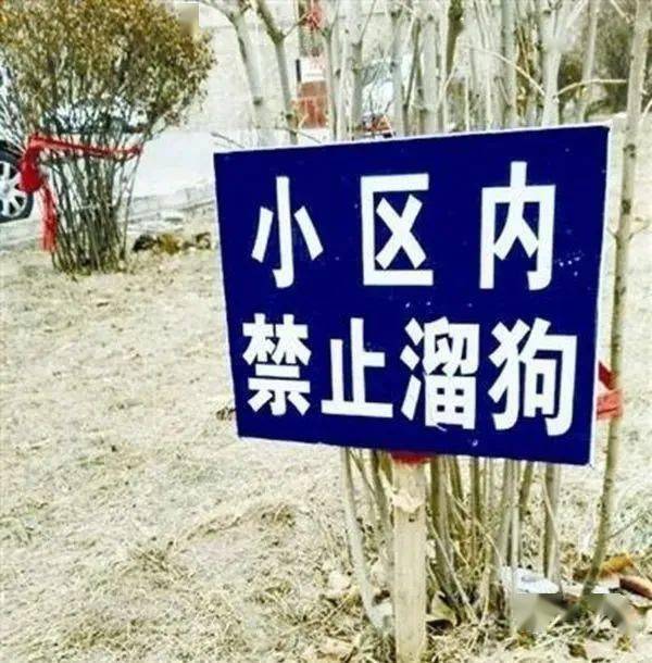 生活中不规范的字图片