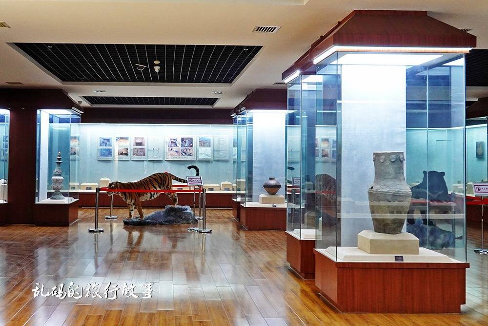 甘肃定西市博物馆，镇馆之宝让人大开眼界，被誉为彩陶艺术的巅峰