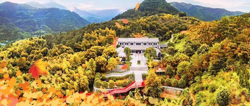 共享“浙”里 | 秋风乍起,赴一场浙南红都之约_平阳_来源_浙南