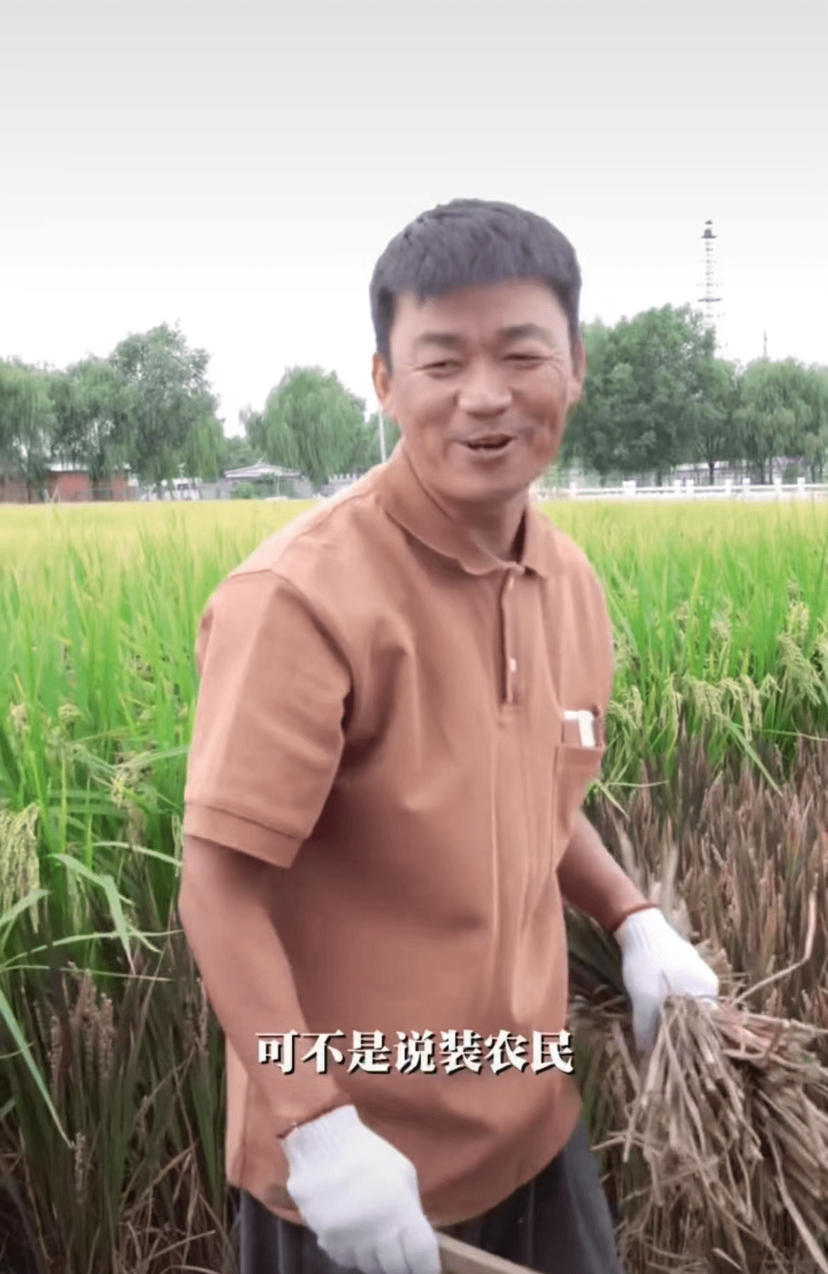 40岁王宝强下地干农活,皮肤黝黑手法娴熟,戴手套割稻谷惨遭调侃_大叔