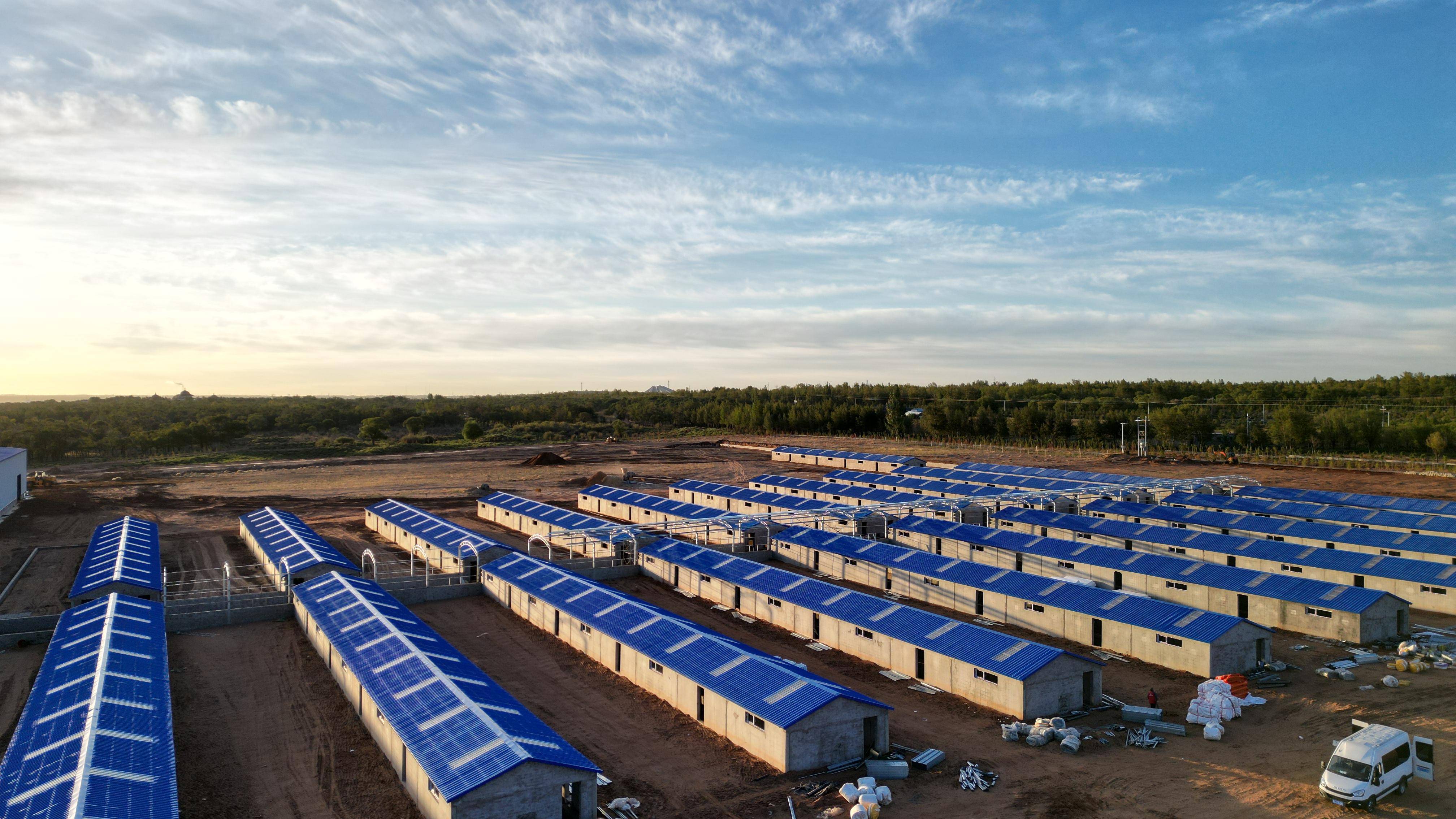 专业化的牛羊养殖场什么样?老司机带您0距离接触_坑道_应用_想法