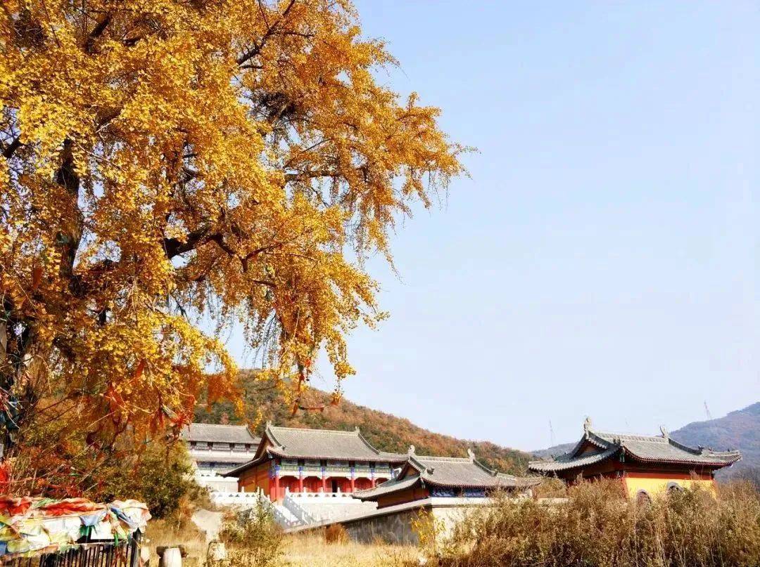 圣水观景区圣水观,位于荣成最长的山脉伟德山脉的西部阳面,这里树茂林