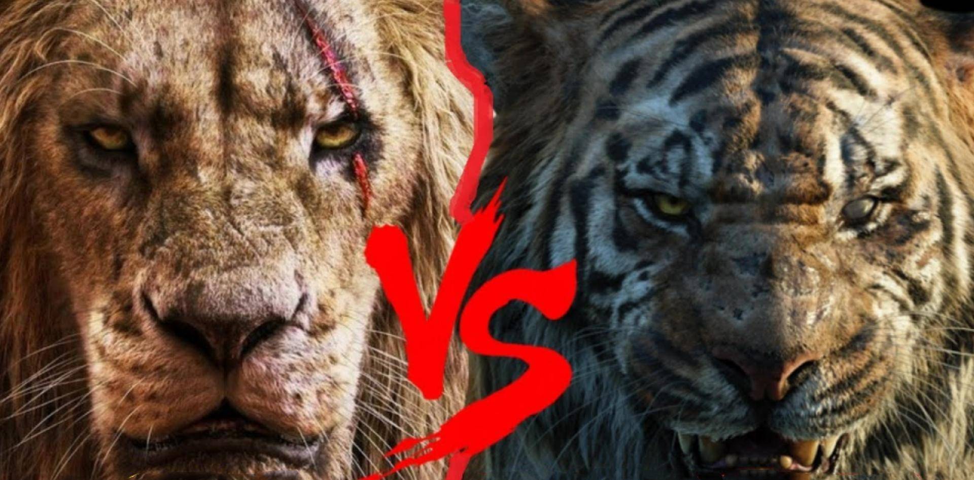 刀疤vs谢利可汗,如果这两个大坏蛋正面硬肛,谁会笑到最后呢?