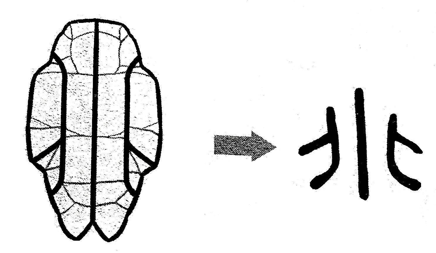 《说文解字》第625课:细说"兆"字,是"裂纹"还是"洪水"?