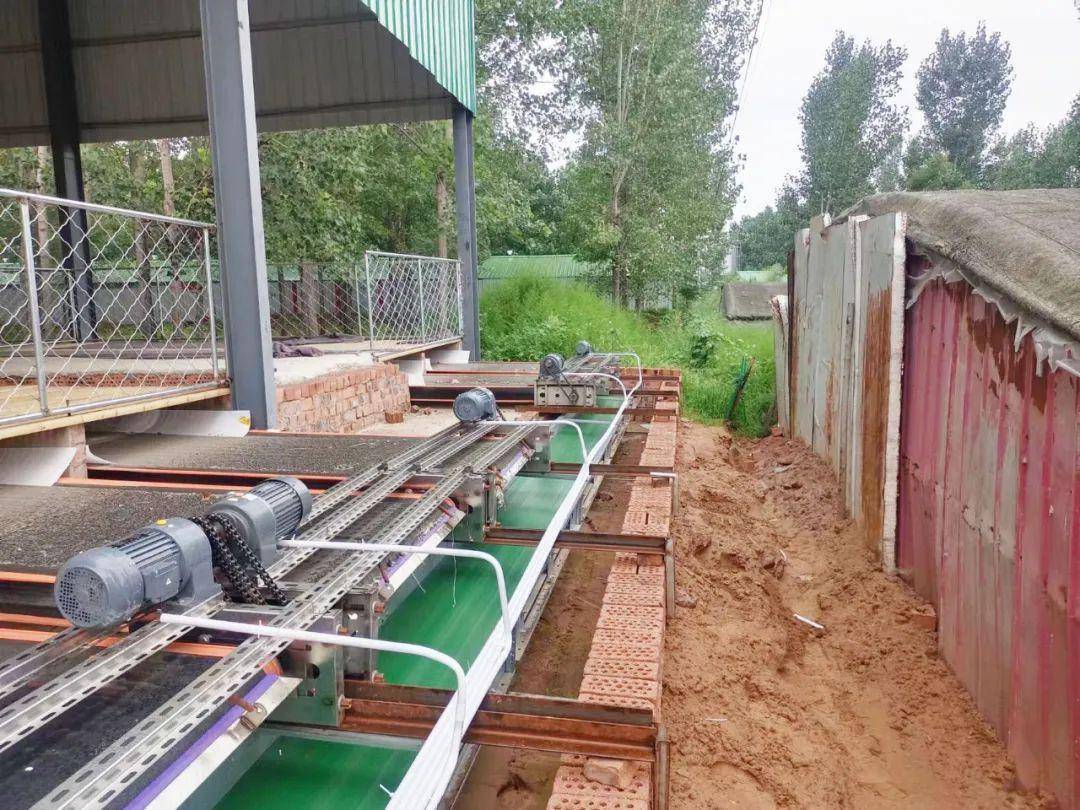 羊粪清理的"战斗机",输送带清粪令传统清粪方式汗颜_传输_进行_应用