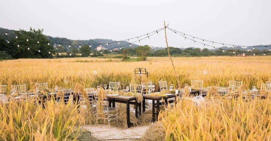 这个国庆,来稻田艺术节放肆撒野!_集市_手工_自然