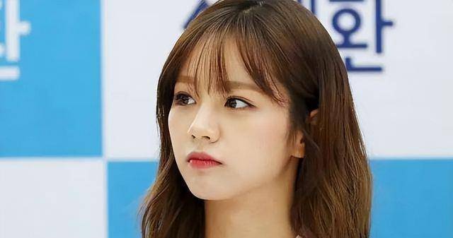 李惠丽_节目_公司