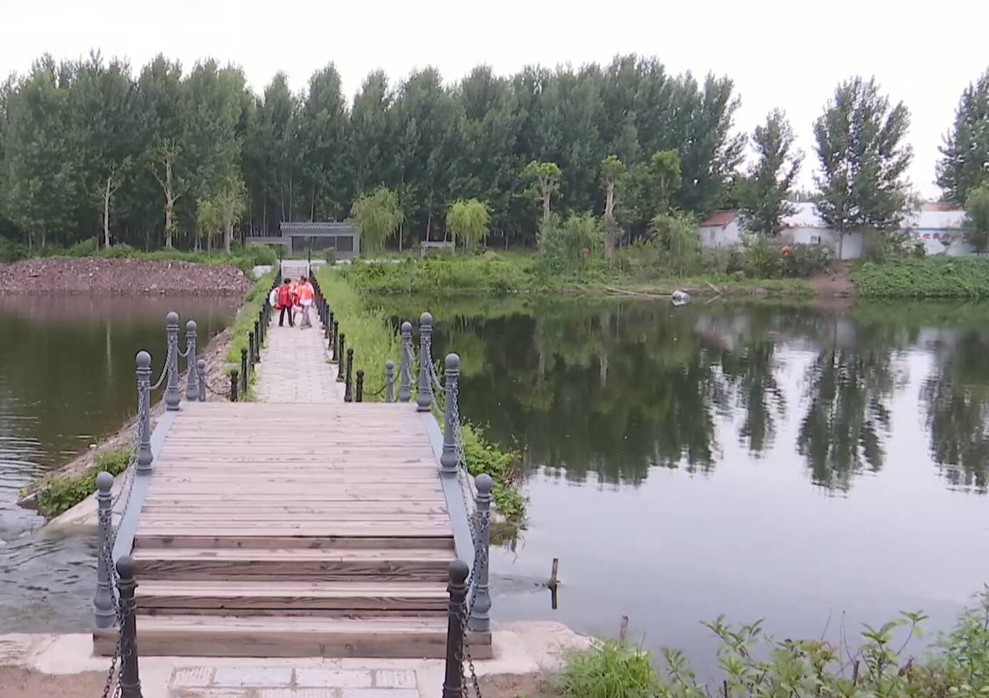 高密井沟镇: 绘就美丽乡村画卷 提升群众满意度和幸福感_整治_人居