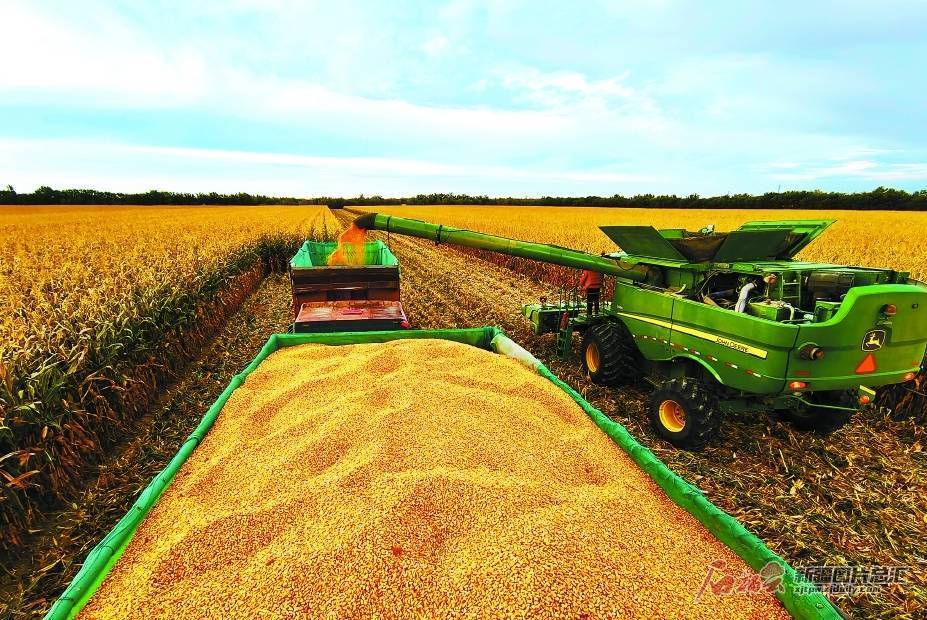 杨化光 摄天山网-新疆日报讯(记者刘毅报道)记者从自治区农业农村厅