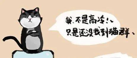 卧谈会 | 合群VS不合群_同学_大学_群体