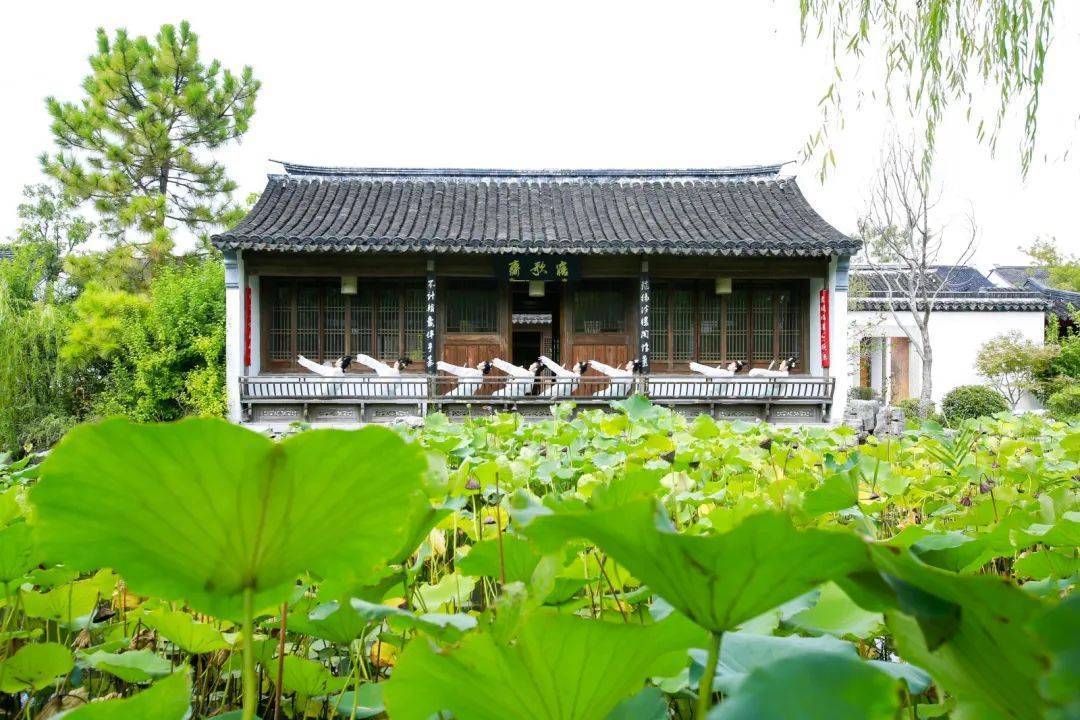 走进苏州唐寅故居,重寻桃庵诗情_人生_好友_场景