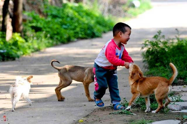 为什么老一辈人说，养狗不能养十年？我家有条狗已经12年了_主人_农村_寿命