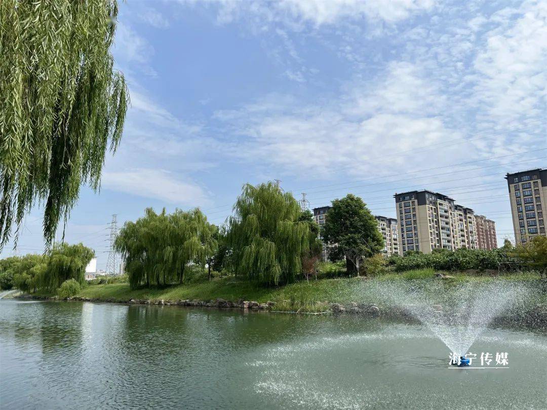 看海宁这里,好一幅生态水景图!_河道_海洲街道_碧水