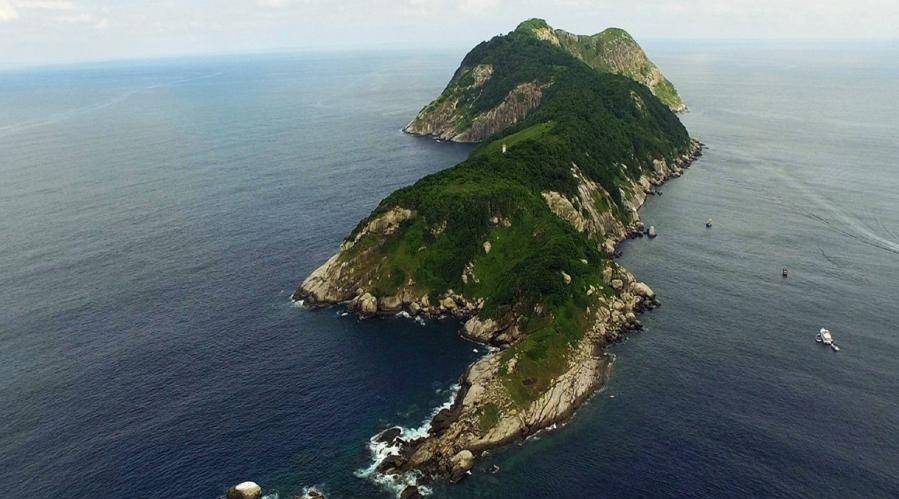 “人类禁地”巴西蛇岛：岛上毒蛇有4万多条，相比陆地近亲毒5倍