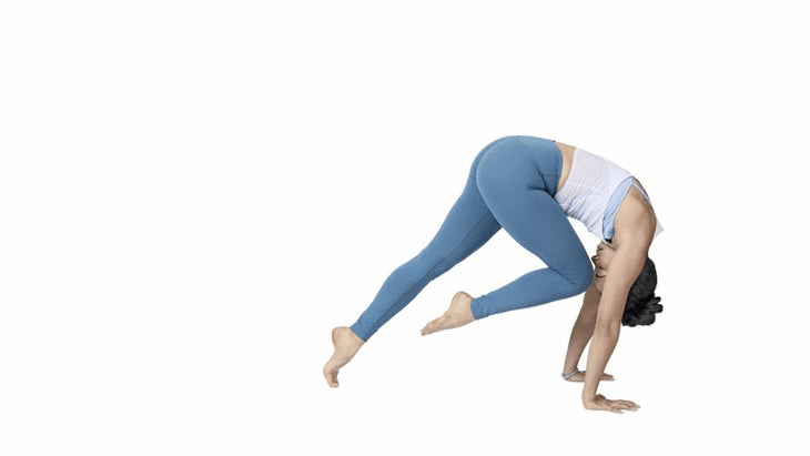 代谢偏慢的女性,这套女性专属瑜伽序列一定要多练!_核心_身体_背部