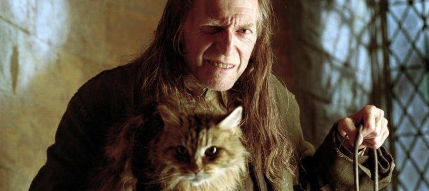 《哈利·波特》中家养小精灵"多比"竟是漫威里的他_电影_系列_赵博士