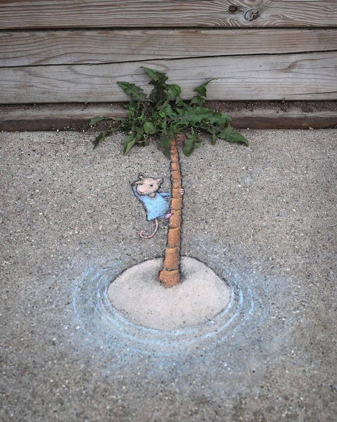 分享| 他的街头粉笔画让大街小巷萌萌哒_zinn_david_艺术