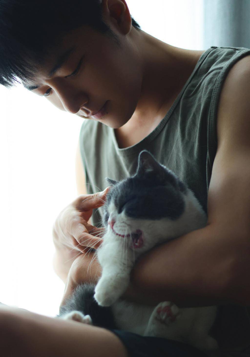 肖战晒与猫咪的合照,肖战身穿灰色背心,很温柔地抱着坚果_内容_本站