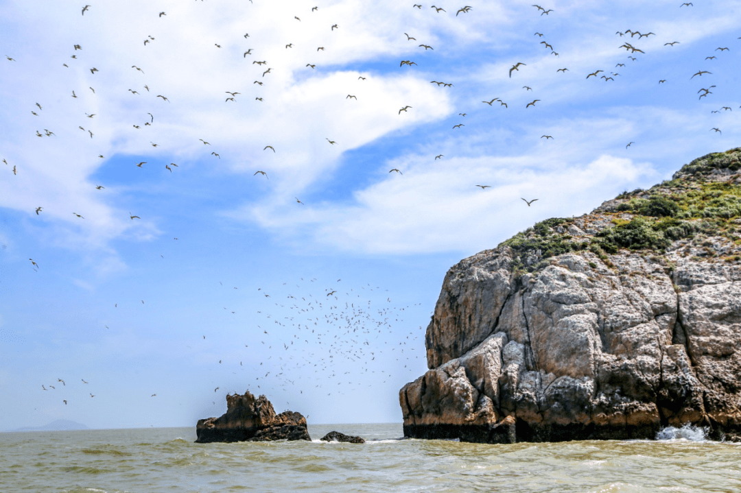 醉美自然·看"浙"里丨创两项"世界纪录",就在象山韭山列岛_监测_中华