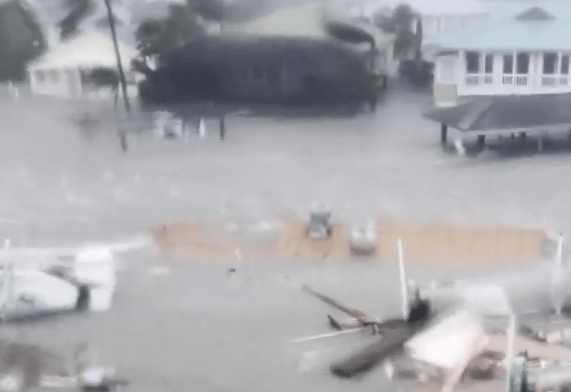 “飓风”飓风“伊恩”登陆美国：鲨鱼在街上游动房屋被海水淹没
