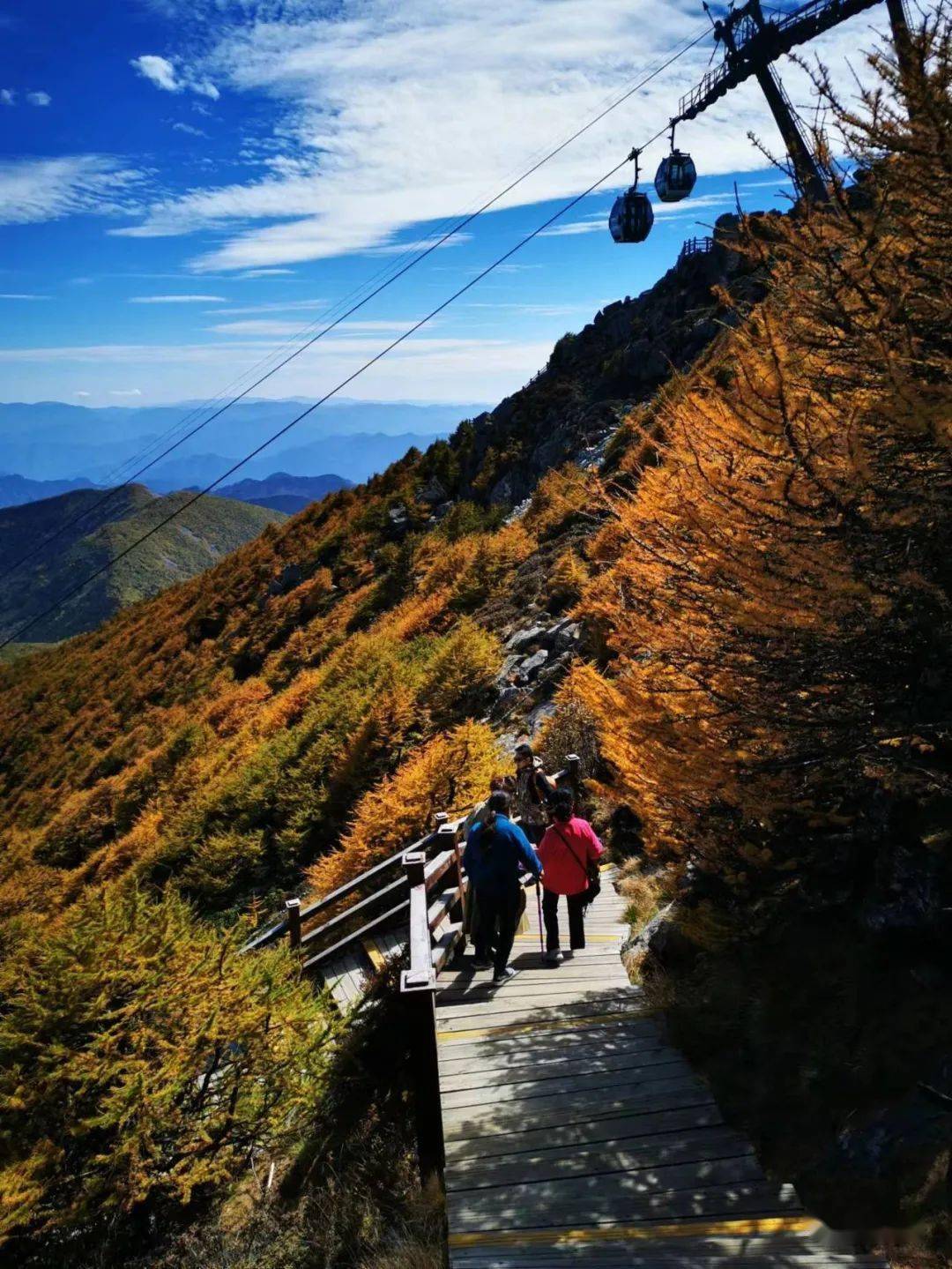 国庆假期,太白山的"秋日音乐会",邀您和家人来观看_游客_景区_公众