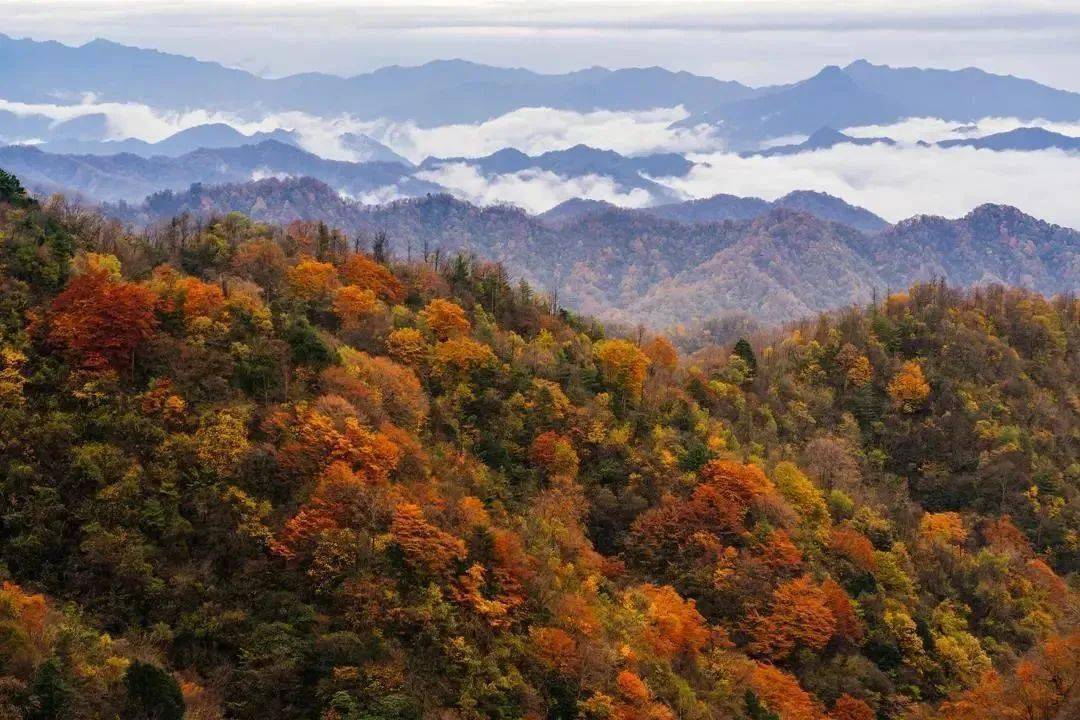 住美宿·趣露营·赏美景，这份国庆旅行攻略必须收藏！