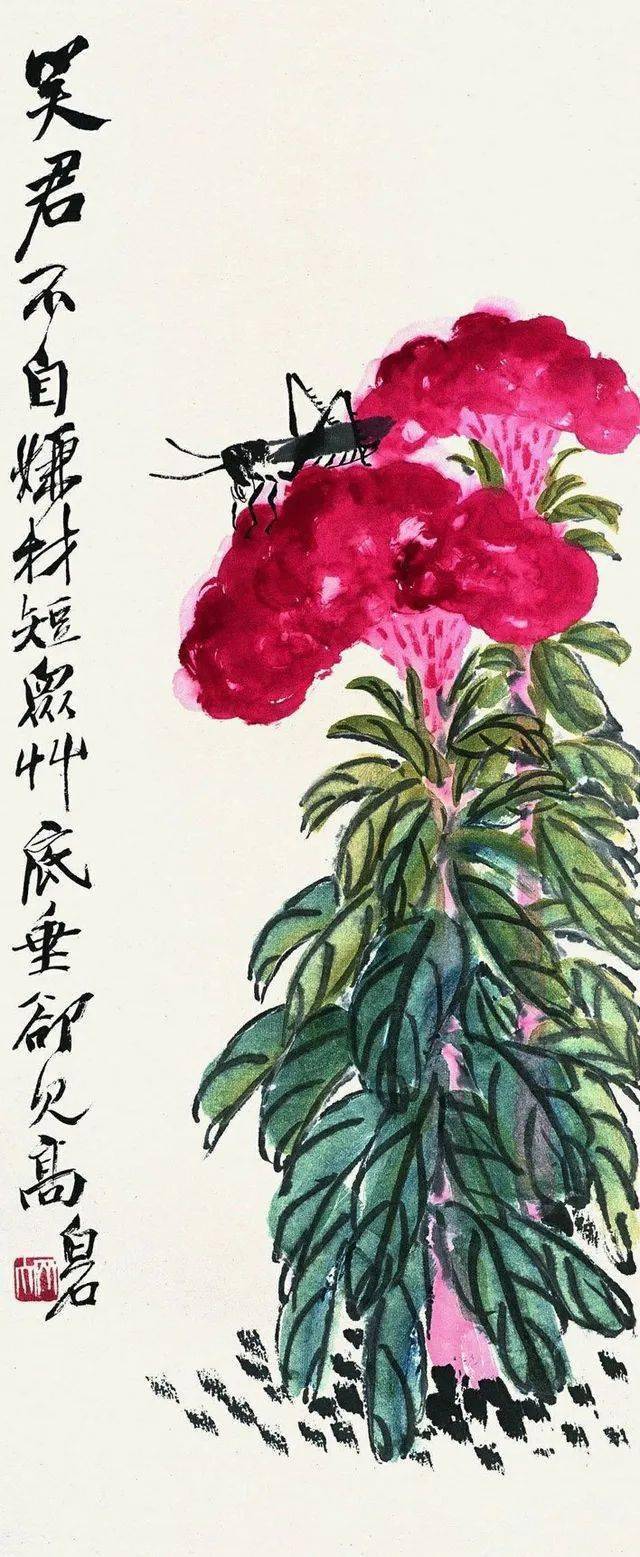 鸡冠花专辑/历代写意花鸟画范作选集（第158集）[53幅]