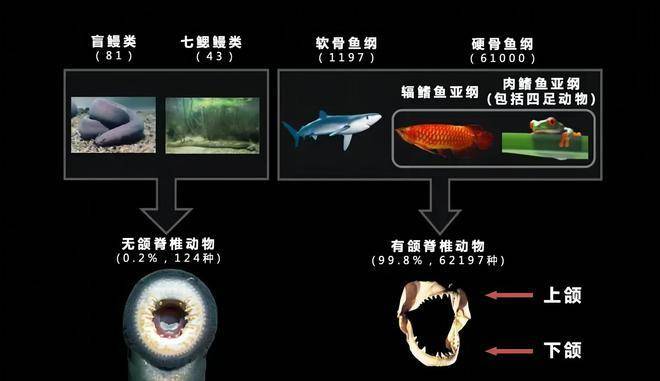 我國科學家找到了