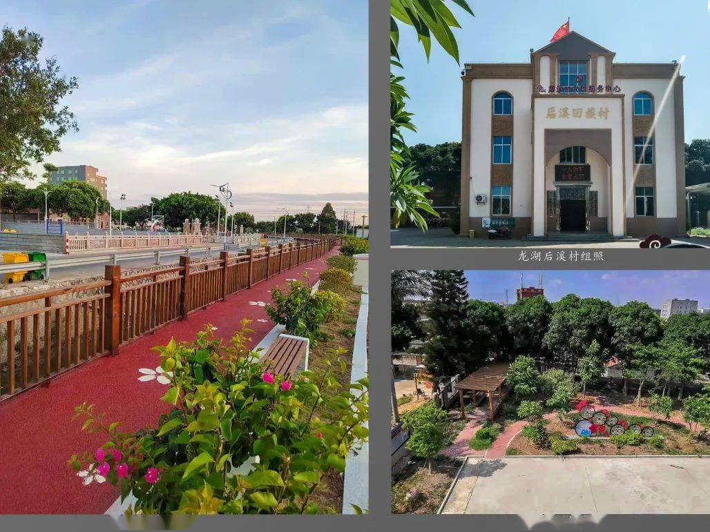 后溪村改造前后对比图▲晋江市农村专业技术协会与内坑镇霞美村村委