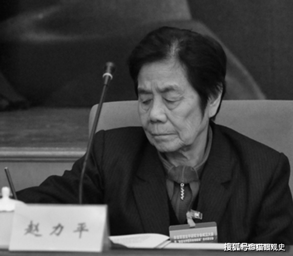 她嫁给朱德儿子后,47年没调动岗位,只有一个特权:坐火车不要钱_赵力平_工作_儿媳妇