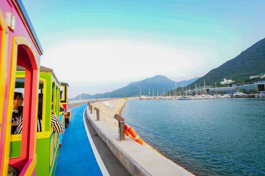 深圳大鹏美丽的海边,有一座独特的网红酒店,遛娃遛猫遛狗很合适_瞻云