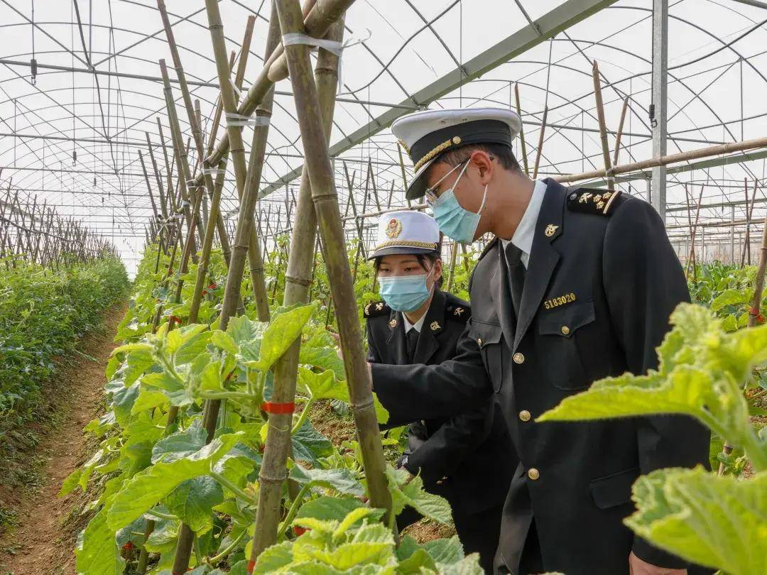 韶关海关展现使命担当,与韶关的社会,经济共同成长_企业_发展_业务