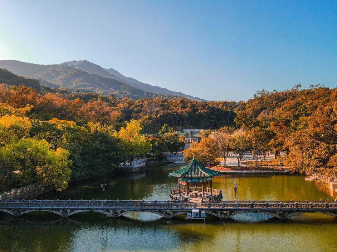 光輝七十三載,禮讚盛世華誕,羅浮山景區歡度國慶._遊客_生活_美食