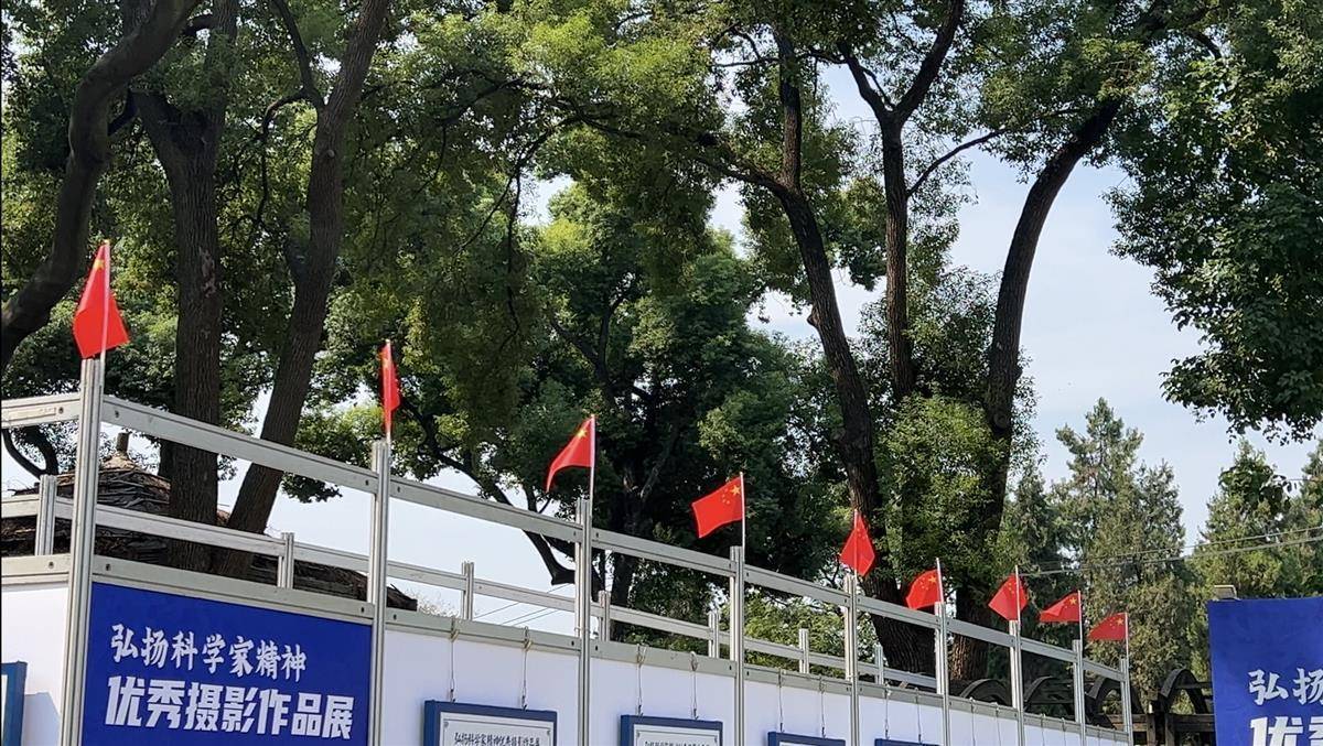 百合俏国旗飘，武汉植物园“新装”庆国庆