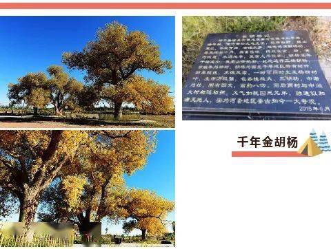 攻略| 好山好水好磴口,30处好风景等你来_湖景区_旅游_国家