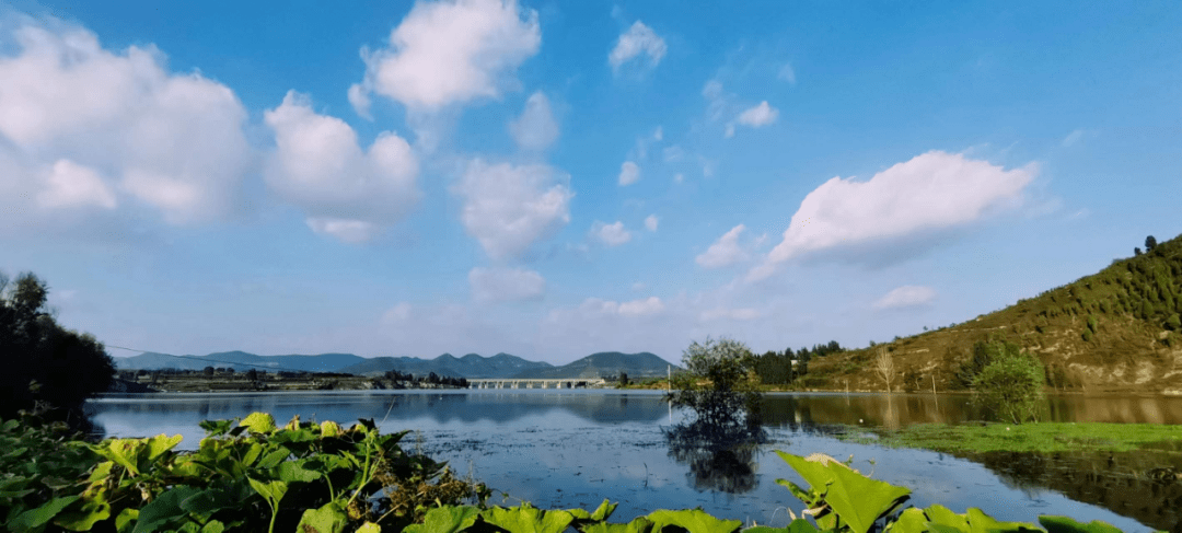 到天下第一村周村;從黃河三角洲腹地高青,到沂河發源地沂源;從陶琉之