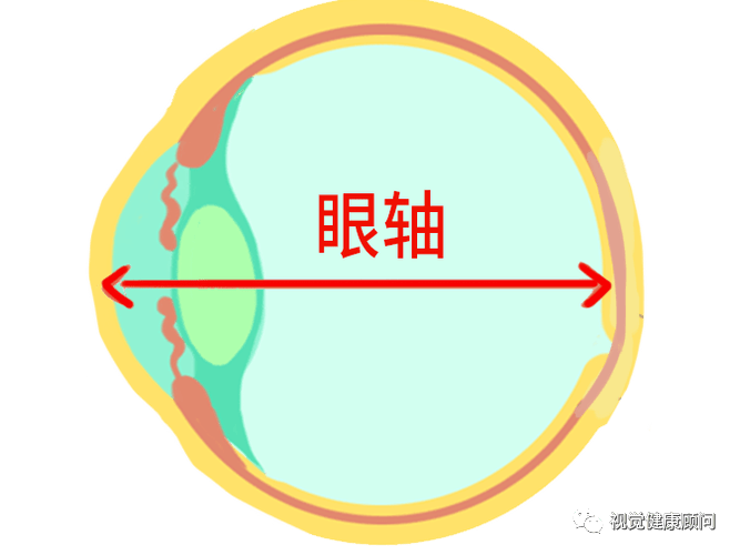 近视防必测眼轴，测眼轴必学眼球生物测量、角膜屈光力、角膜散光、前房深度、有效晶状体位置、晶状体厚度、角膜直径测量....._第三节_第二节_光学