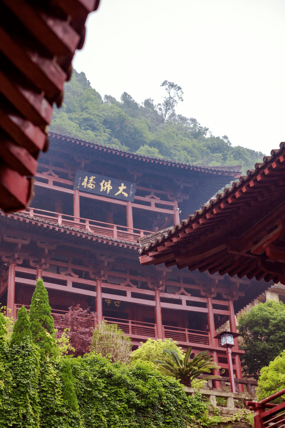 国庆游利州丨皇泽寺博物馆_景区_广元_历史