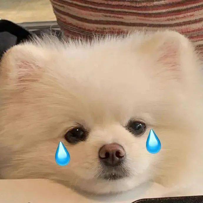 表情包| 没良心的我逍遥快活_部分_建议_侵权