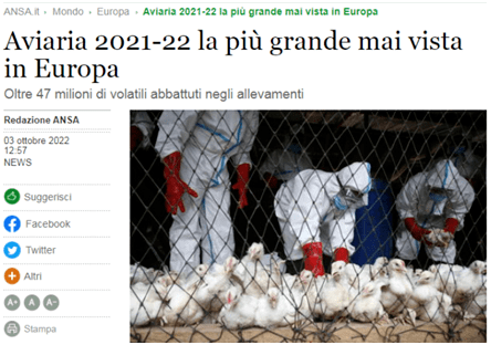 今冬暖气够用吗?？欧洲暴发史上最大规模禽流感：法国最为严重！
