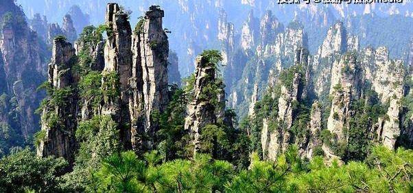 中国首个国家森林公园！3000余座奇峰在此，《阿凡达》取景地