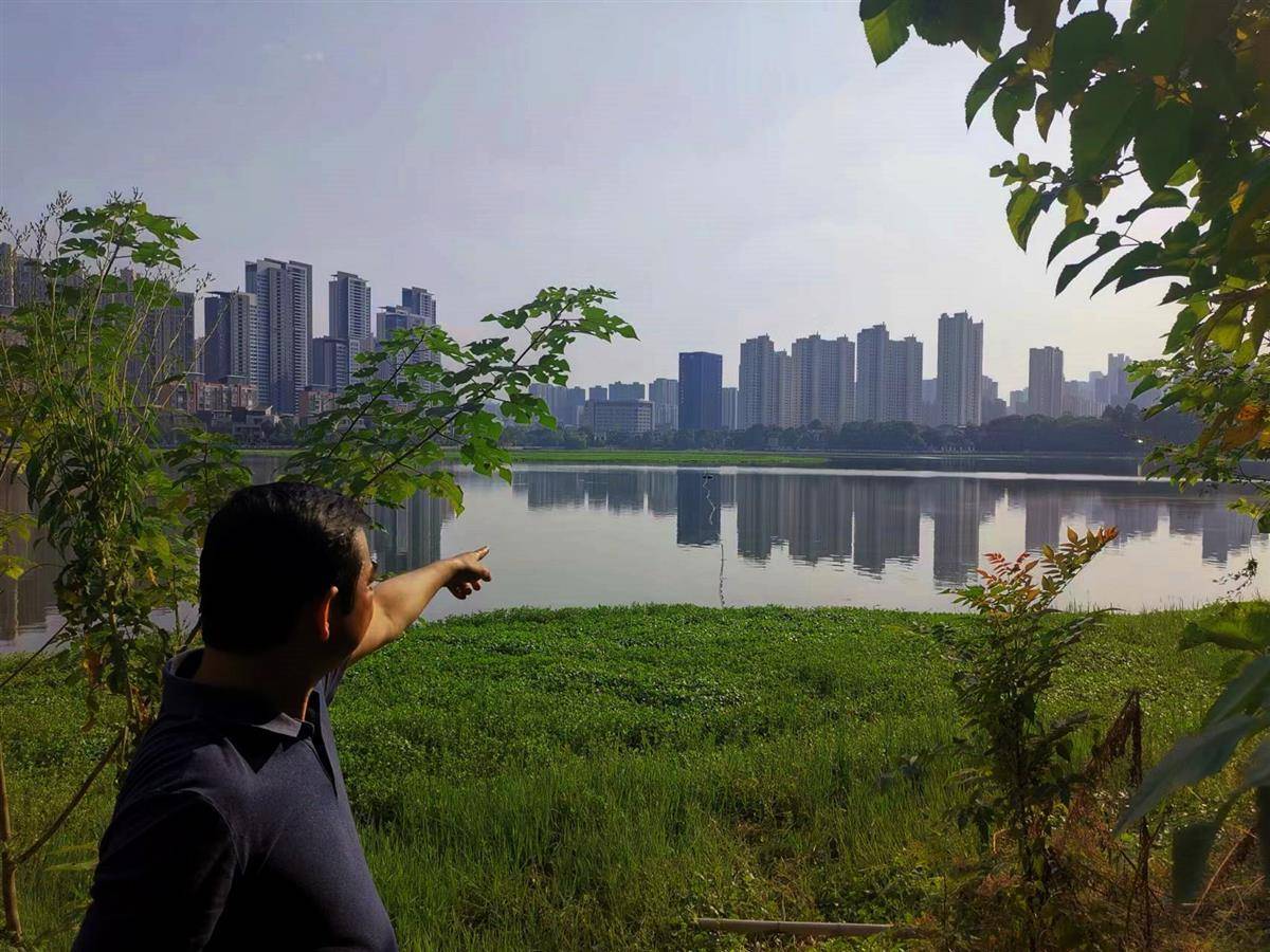 密织监控网络 江岸区首个区级自动水质监测站落子塔子湖