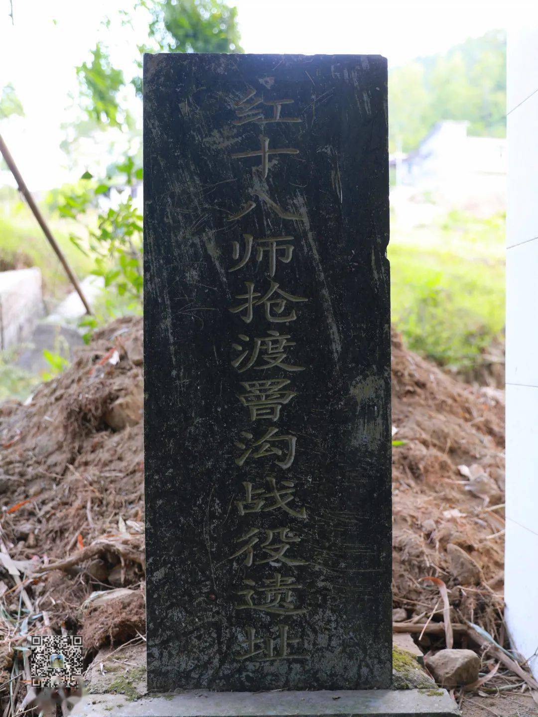 红色美丽村庄行⑥ | 罾沟村:砥砺奋进展新颜_白柚树_村民_种植