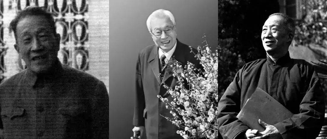 中国园林“三陈”：陈植、陈俊愉、陈从周_园冶_梅花_学术