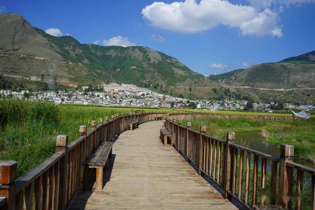 娜姑坝子:秋色染田园 "丰"景入画来_稻田_金色_农户