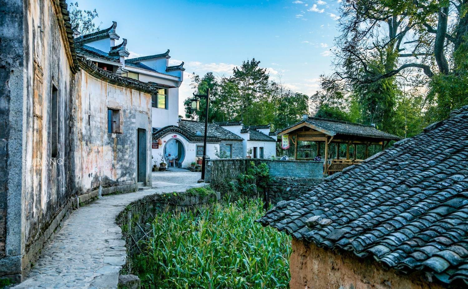 安徽这个小山村,被誉为"中国四大最美秋色"之一,历史将近千年_村落