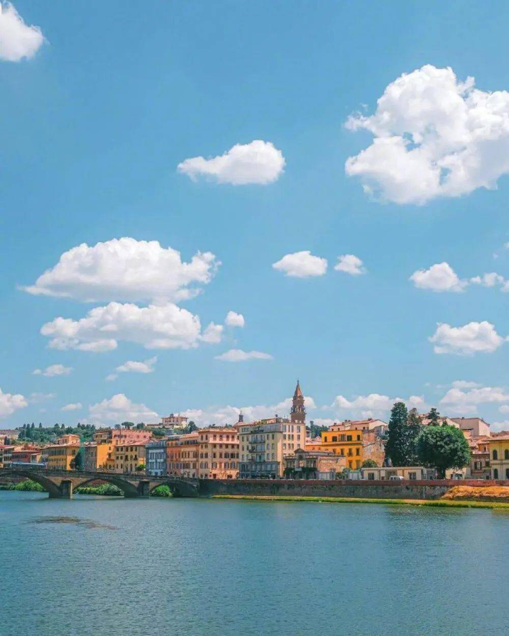 适合微信动态的温柔短句子,文艺有意境_生活_月光_一朵花